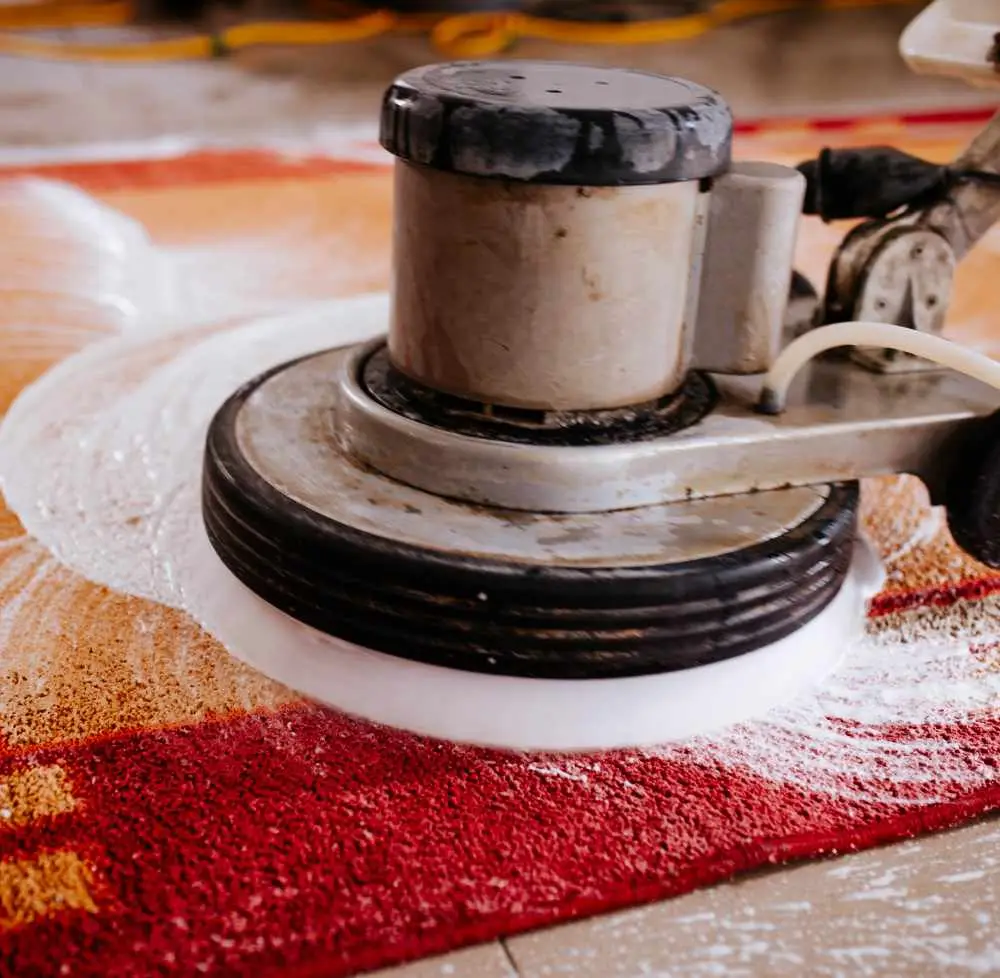 rug cleaning