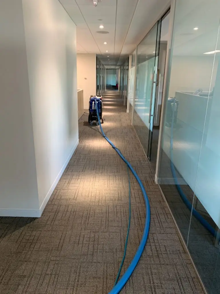commercial carpet cleaning